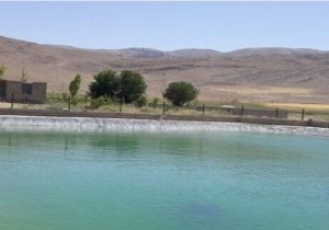 شیلات سیستان‌وبلوچستان پیشران اقتصاد روستایی در خشکسالی