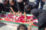 ۲۷ استاد و دانشجوی شهید