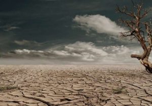 ضعف‌های مدیریتی را پشت واژه «تغییر اقلیم» پنهان می‌کنیم