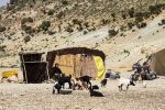 راه‌اندازی کدپستی عشایری در سیستا‌ن‌وبلوچستان