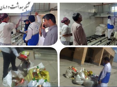 توقیف ۱۶۳ کیلوگرم مواد غذایی فاسد در گشت مشترک فنوج