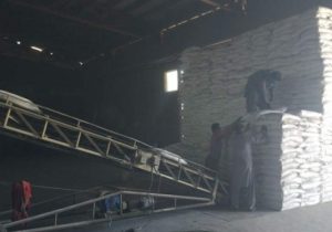 توزیع ۲۷۲۷ تن کود کشاورزی در خاش