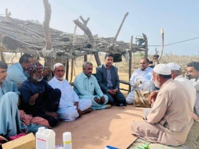 ایمنی پایدار دامها با گسترش اقدامات دامپزشکی