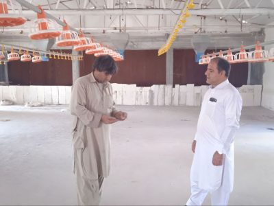 بازدید مدیر جهاد کشاورزی فنوج از طرح پرورش مرغ گوشتی