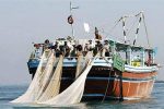 اشتغال‌زایی برای ۳۳ هزار صیاد در هشت بندر