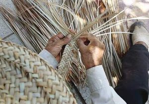 پیگیر حمایت از حصیربافان روستای «سیاهوکان» هستیم