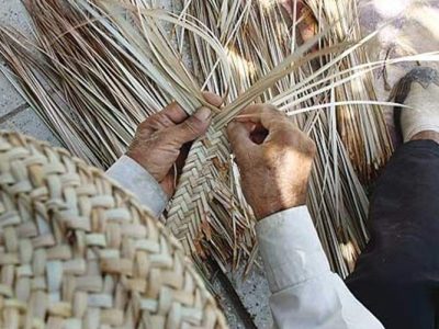 پیگیر حمایت از حصیربافان روستای «سیاهوکان» هستیم