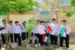 اجرای پویش ملی سرو ایران در سیستان‌وبلوچستان