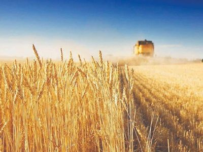 پرداخت ۱۴۷۵ میلیارد ریال تسهیلات به بخش کشاورزی