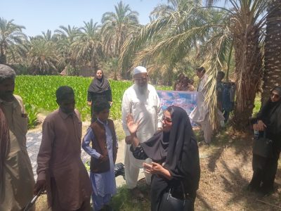 آموزش مبارزه با سوسک سرخرطومی خرما