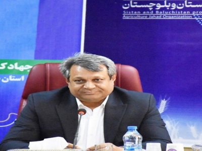 جذب ۹۶ درصدی اعتبار تعهدی «نویپو» نهادههای دامی