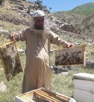 تولید سالانه ۲ تن عسل طبیعی در خاش