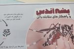 پیشگیری از گزش پشه آئدس راه مقابله با تب دنگی است