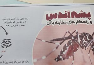 پیشگیری از گزش پشه آئدس راه مقابله با تب دنگی است