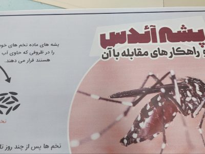پیشگیری از گزش پشه آئدس راه مقابله با تب دنگی است