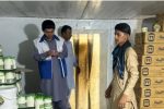 جمعآوری ۳۰۸ کیلوگرم مواد غذایی فاسد در فنوج