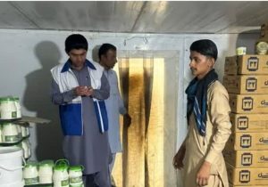 جمعآوری ۳۰۸ کیلوگرم مواد غذایی فاسد در فنوج