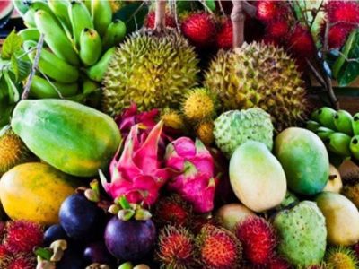 سیستان‌وبلوچستان، بهشت میوه‌های گرمسیری ایران