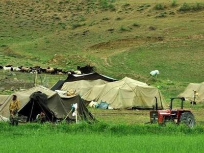 اختصاص میلیاردها تسهیلات بانکی برای عشایر سیستانوبلوچستان