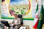 پرورش شترمرغ، مسیر توسعه اقتصاد روستایی زهک